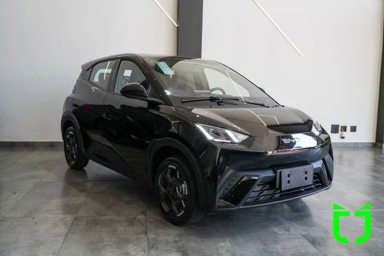 BYD DOLPHIN MINI 38 KW ELÉTRICO GS em Rio Claro, SP
