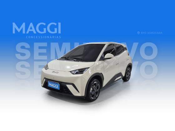 BYD DOLPHIN MINI 38 KW ELÉTRICO GS em Indaiatuba, SP
