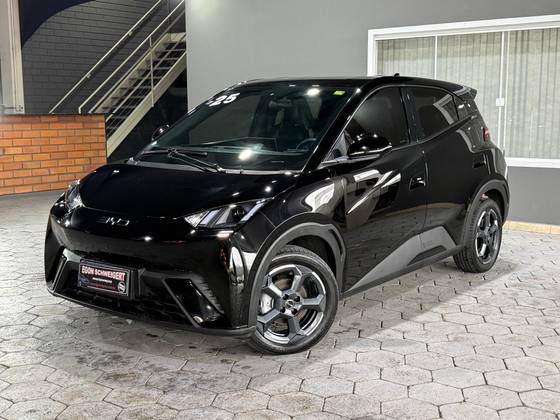BYD DOLPHIN MINI 38 KW ELÉTRICO em Blumenau, SC