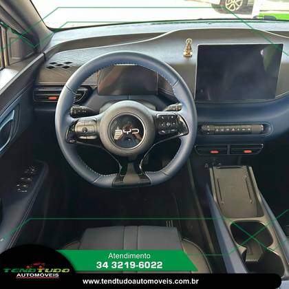 BYD DOLPHIN MINI 38 KW ELÉTRICO GS em Uberlândia, MG