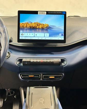 BYD DOLPHIN MINI 38 KW ELÉTRICO GS em Serra, ES